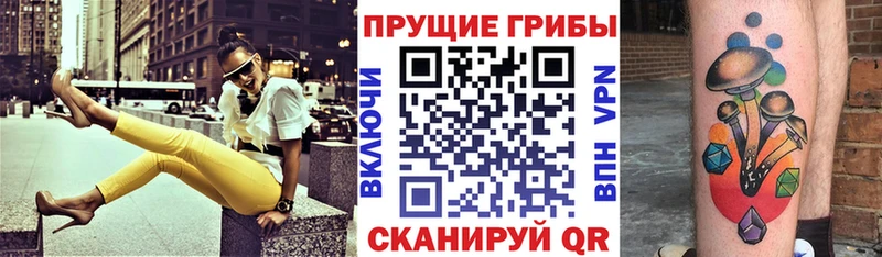 Купить закладки  Гусиноозёрск  Псилоцибиновые грибы Magic Shrooms 